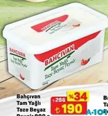 BAHÇIVAN TAM YAĞLI TAZE BEYAZ PEYNİR 900 G fiyat ve kampanya bilgisi